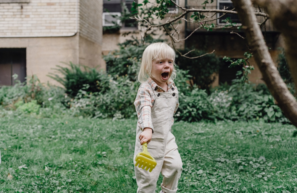 Foto: Allan Mas / Pexels
